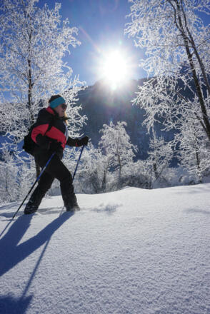 Tiefschneegenuß in der Sonne