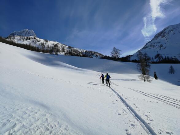 Aufstieg über die Sulzenalm zum Sulzenhals ...