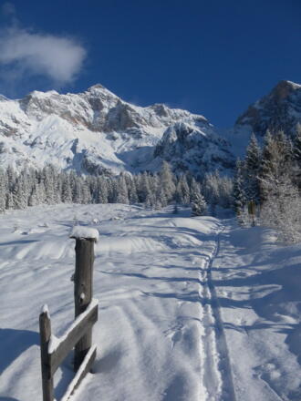 Schranbachalm, Schönfeldspitze und Buchauerscharte