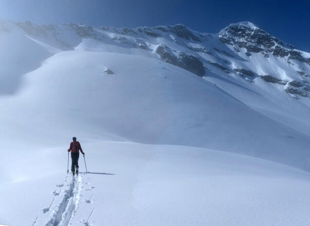 Zustieg zum Schartenhang, kann auch über rechts entlang der Abbrüche des Graulahnerkogels erreicht werden