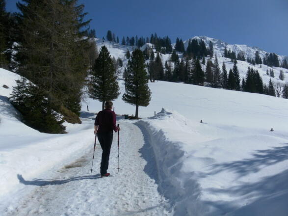 Zustieg zum Almsee, rechts der Rötelstein