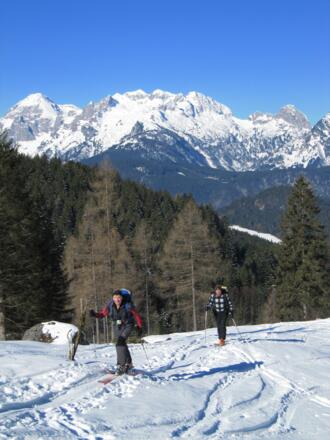 freies Gelände Nähe Lochalm, im Hintergrund das Tennegebirge