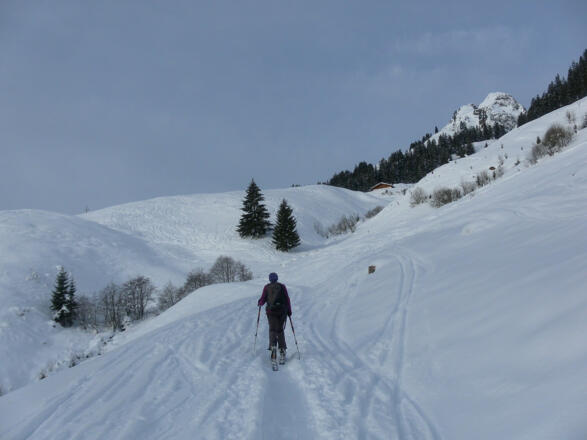 Spielberghorn hinter Adamalm