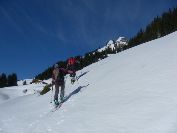 Spielberghorn hinter Adamalm