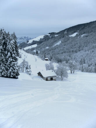 freie Almwiesen über dem Schwarzleograben