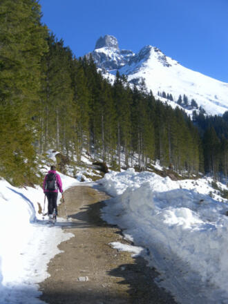 geräumte Almstraße
