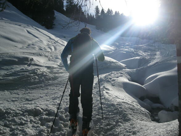 Über Wiesen und kleine Waldstücke in den Frommgrund