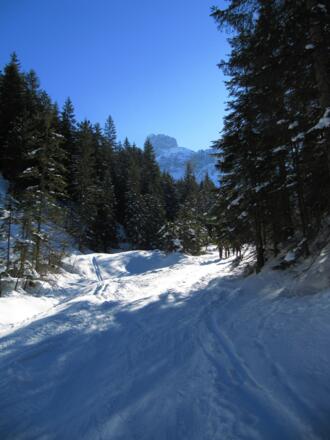 Forststraße nach dem Ebnerlehen