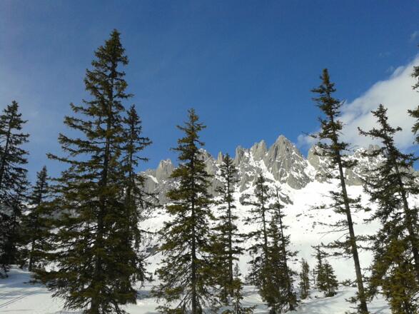 Winterlandschaft Arthurhaus