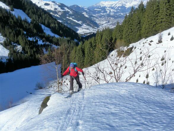 Almrücken und Wieseneggraben