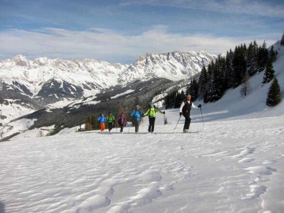 An der Waldgrenze erreicht man einen flachen Boden ...