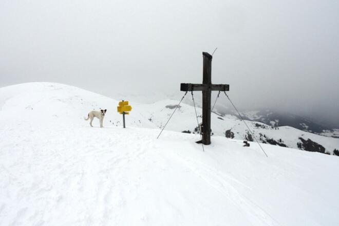 Am Gipfel angelangt ...