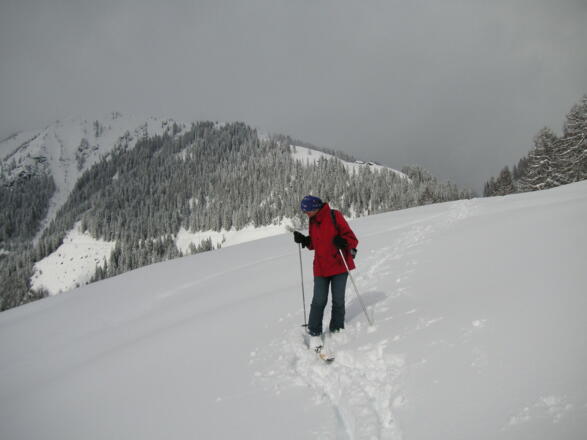 Rückblick zur Widdernalm am Südrücken des Frommerkogels