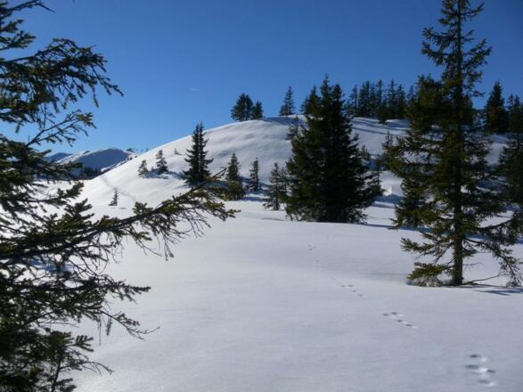 Blick vom Ostgipfel zum Bernkogel