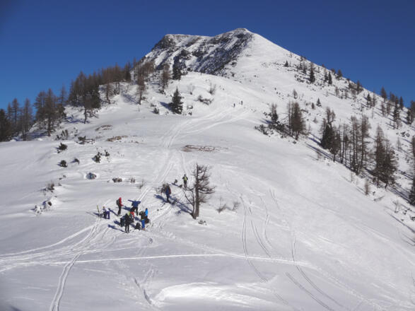 am Sattel zwischen Schilchegg und Benzeck
