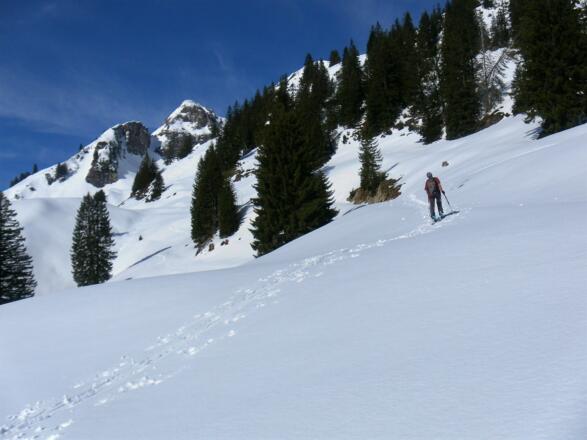 Blick über die Scheltaualm zum Zugang in die Torrinne