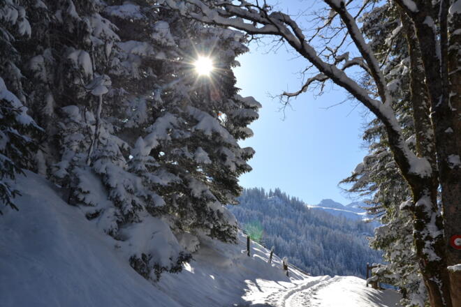 Aufstieg auf den Penkkopf