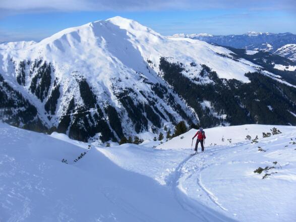 Steinbergstein vom Nordrücken