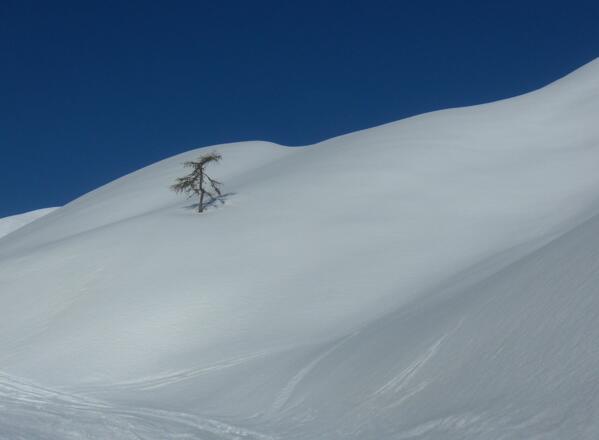 Am Abzweig von der Rodelbahn