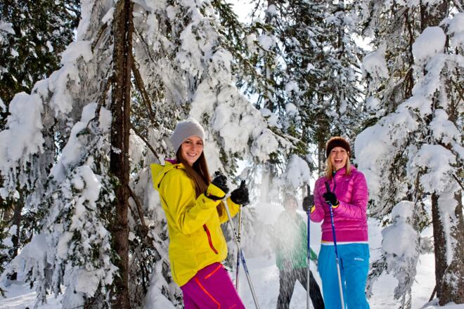 Durch den herrlichen winterlich weißen Wald