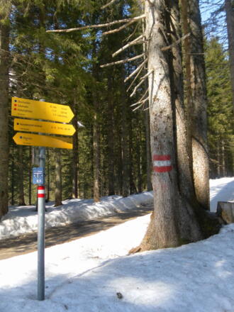 Abzweig Naturlehrpfad