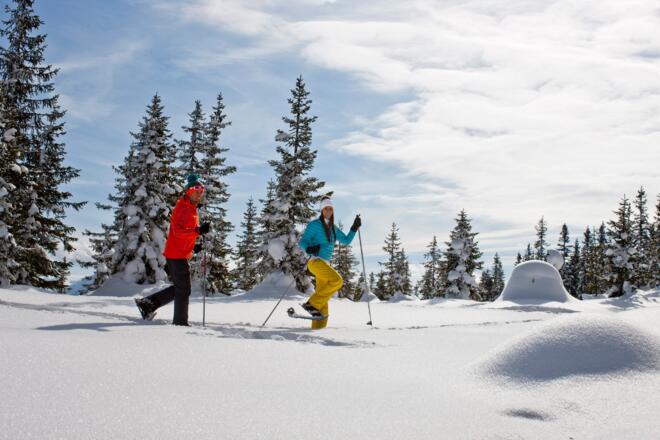 Schneeschuhwandern