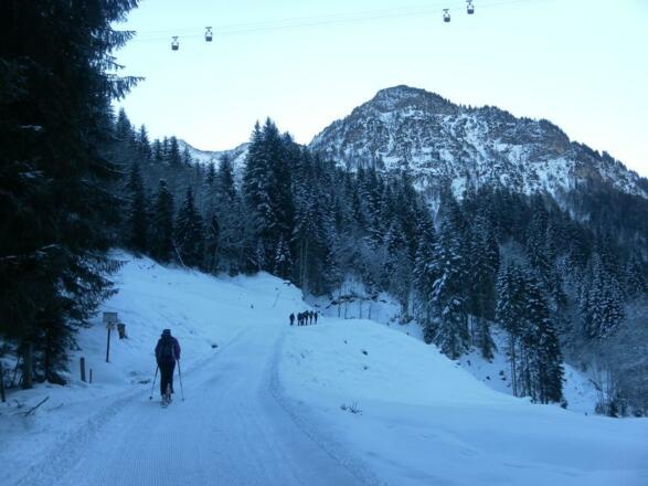 Rodelbahn unter der Bergwerksseilbahn und vor dem Kleberkopf