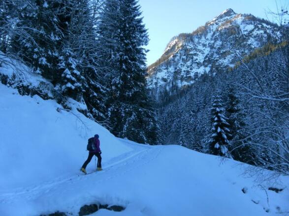 Ziehweg durch den Spielbergbachgraben vor dem Bürglkopf