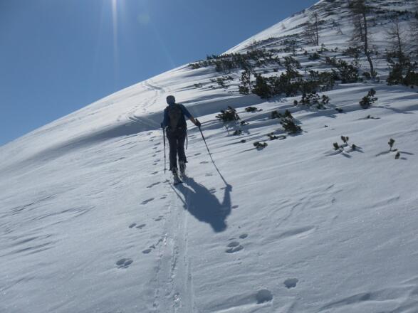 am Nordrücken des Spazecks