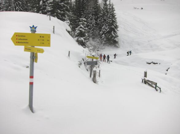 Nach der namenlosen Almhütte wird der Gerbach überquert.