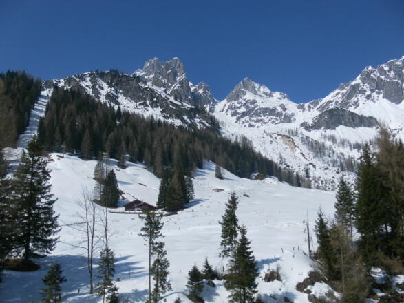 Bischofsmütze und Armkarwand