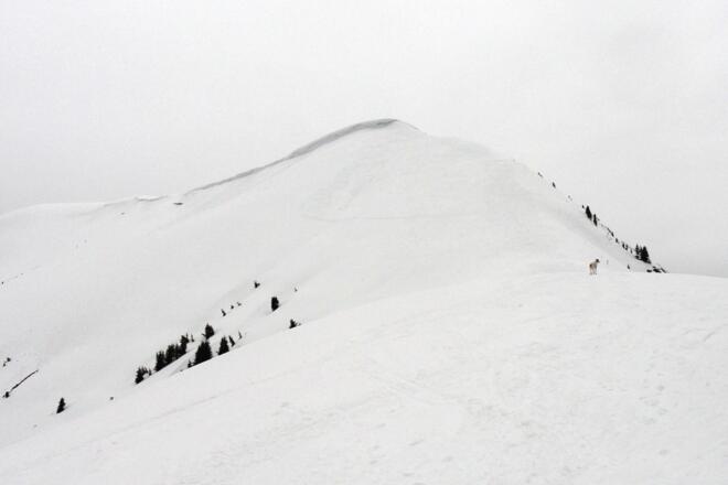Der letzte Aufschwung am Südostrücken vor Erreichen des Gipfels