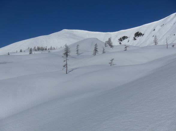 Kar unter Spirzinger und Spazeck