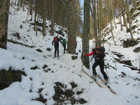 Zuerst auf dem Sommerweg durch den Wald