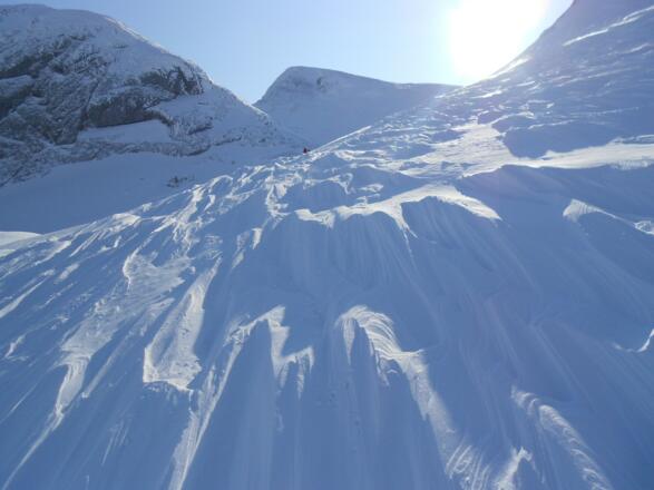 Der wind hat ganze Arbeit geleistet; unter dem Nördl. Wieselstein