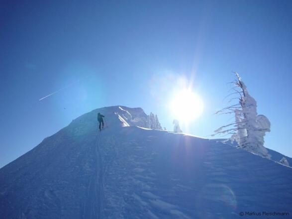 die letzten Meter zum Gipfel der Marbachhöhe