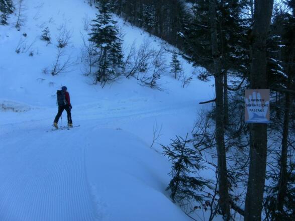 Rodelbahn zur Burgeralm
