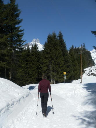 Verzweigung Güterweg/Naturlehrpfad
