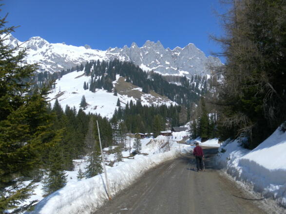 Hofalmen unter dem Gosaustein