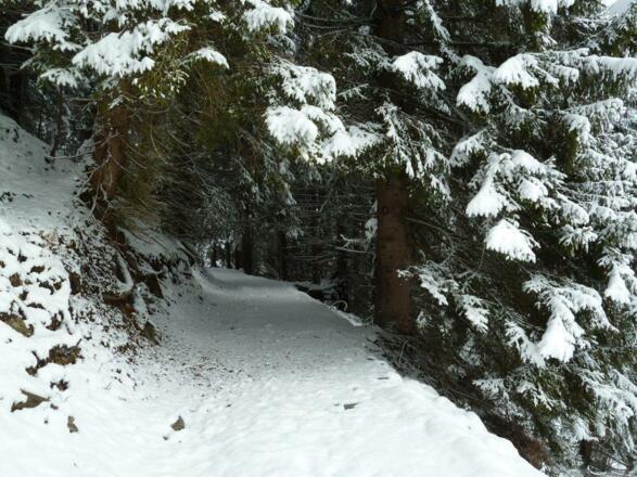 Richtung Kühbrenten