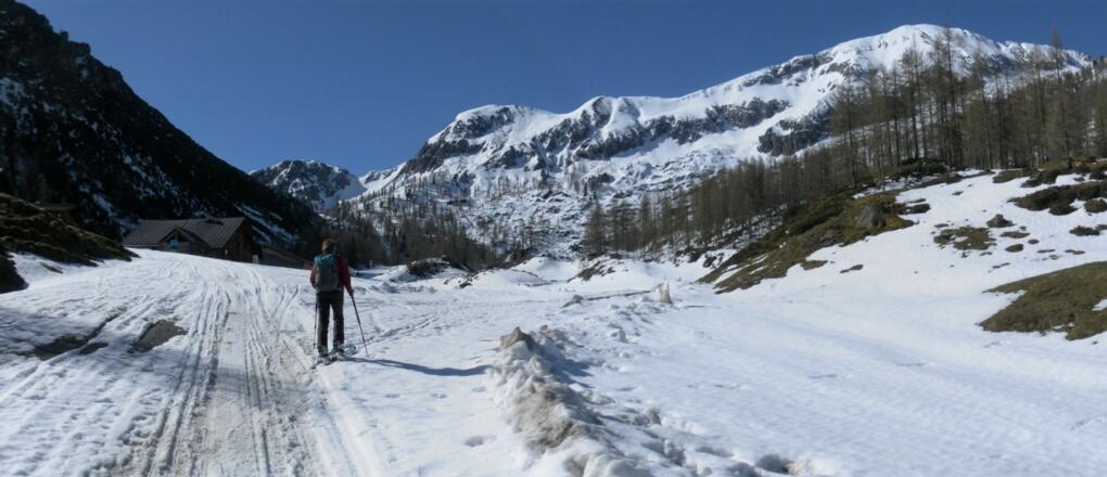 Oberzauchenseealm vor Bärenstaffl und Steinfeldspitze