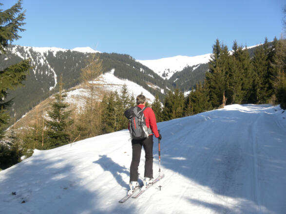 Hochkogel links über dem Lengbachtal