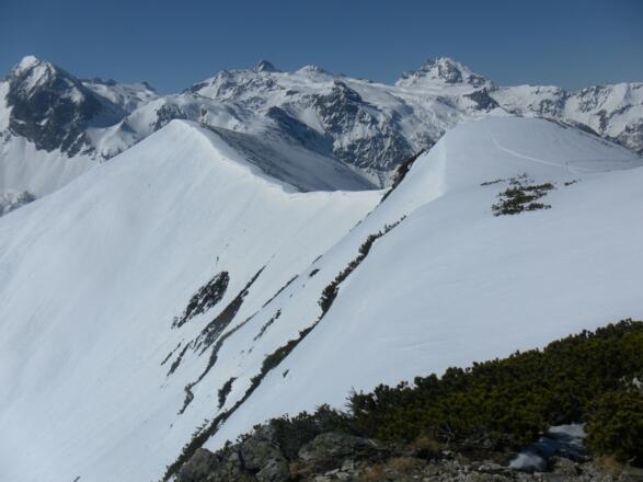 Verbindungskamm zum Spirzinger