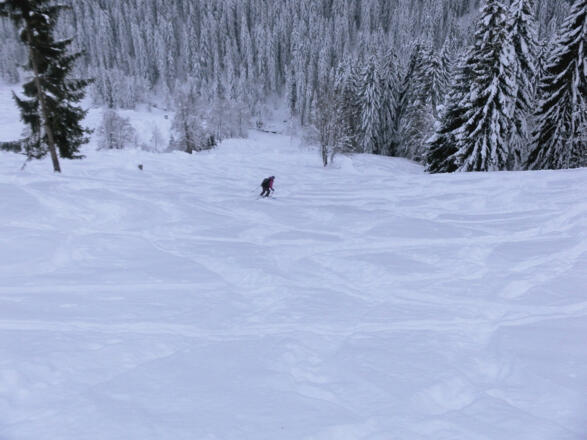 Schneisenabfahrt in den Schwarzleograben