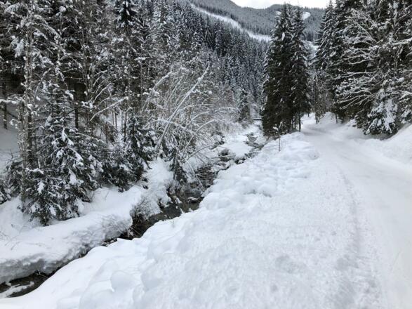 Dienstag, 6. Februar 2018, 16:50 Uhr
