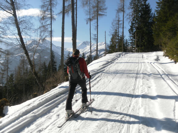 Forstweg um den Steinbachriedel, gegenüber Planitzer und Lärchwand