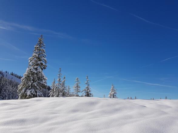 Winterlandschaft