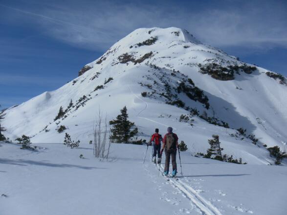 Ostgratrücken des Kuhfeldhördls
