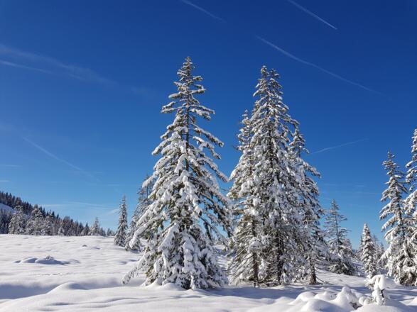 Winterlandschaft