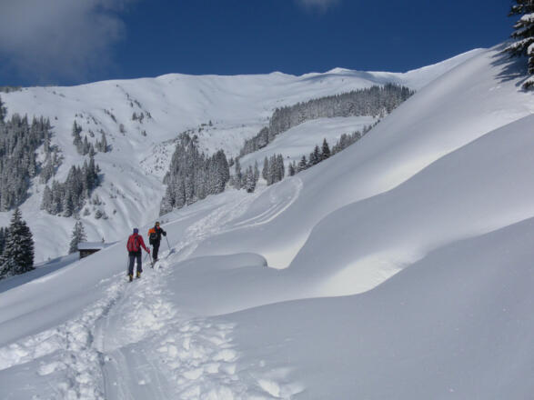 freies Skitourengelände
